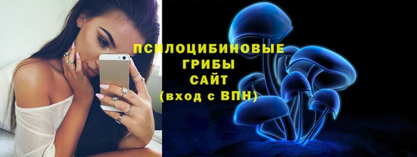 гидропоника Алзамай