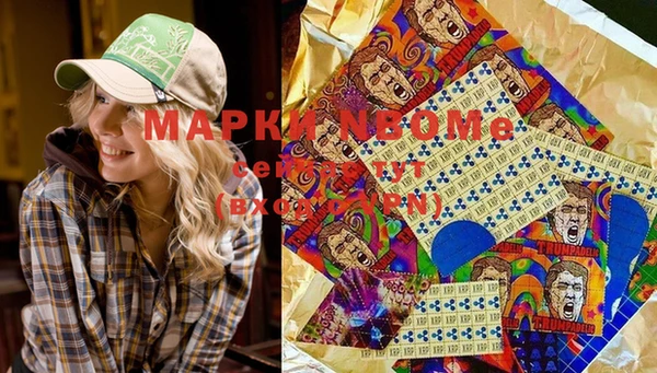 гидропоника Алзамай