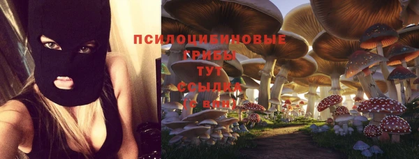 гидропоника Алзамай