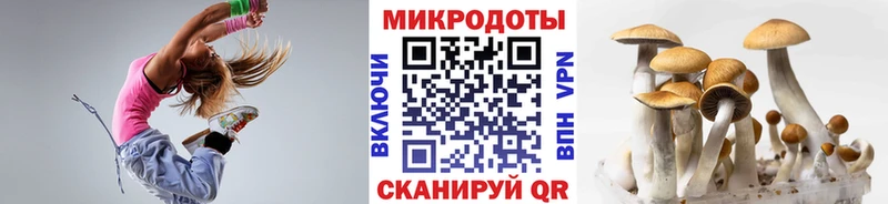 Галлюциногенные грибы ЛСД  Полысаево 
